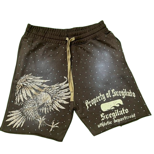 Brown Athletic Department Shorts