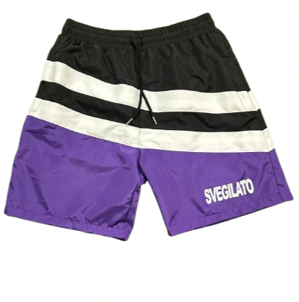 Purple Nylon Shorts